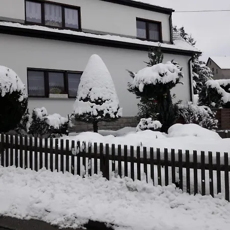 Ferienwohnung Zschorlau/Erzgebirge 03771 479123 Exterior foto