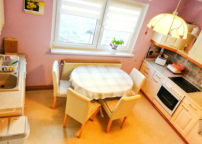 Ferienwohnung Zschorlau/Erzgebirge 03771 479123