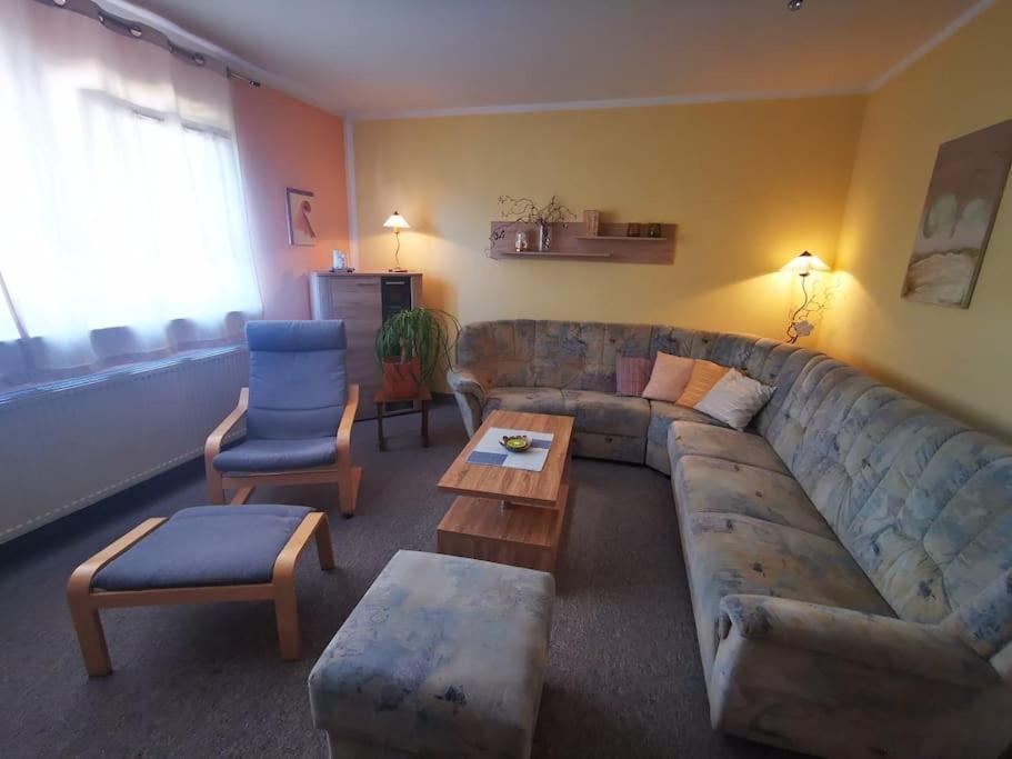 Zschorlau/erzgebirge 03771 479123 Zschorlau