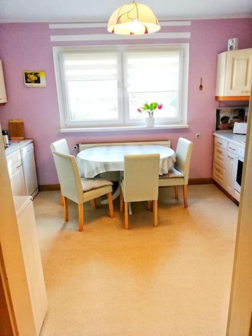 Zschorlau/erzgebirge 03771 479123 Apartment *