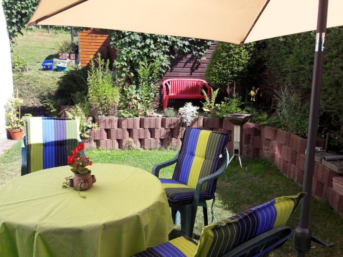 Zschorlau/erzgebirge 03771 479123 Apartment *